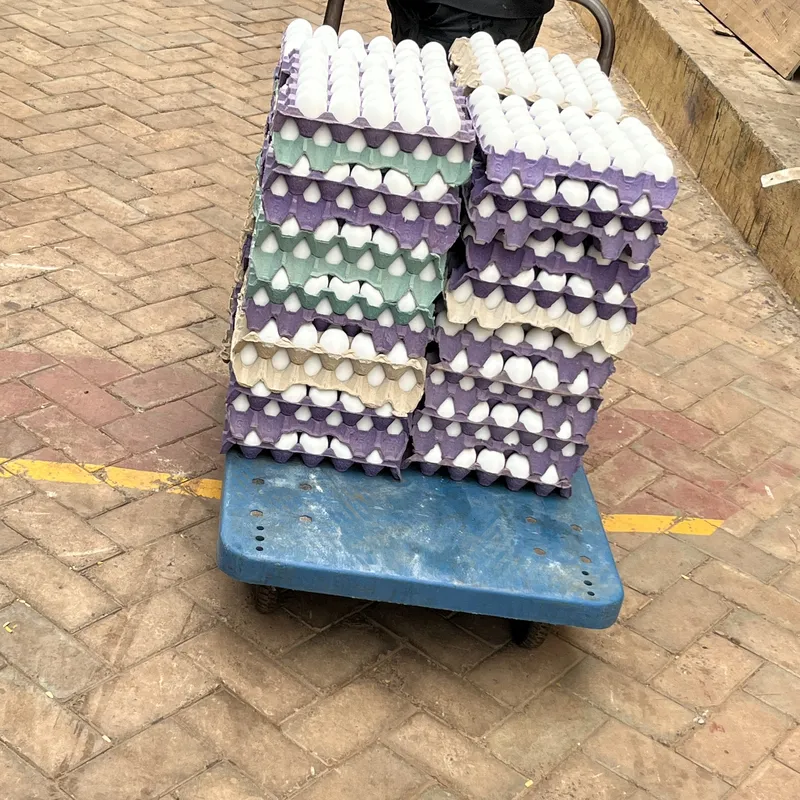 Mixed Commercial Eggs — grade A, Mixed, 30 eggs per crate